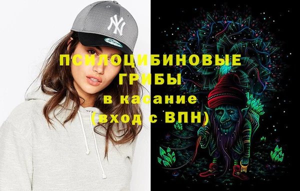 mdma Богородицк