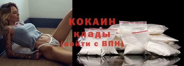 винт Богданович