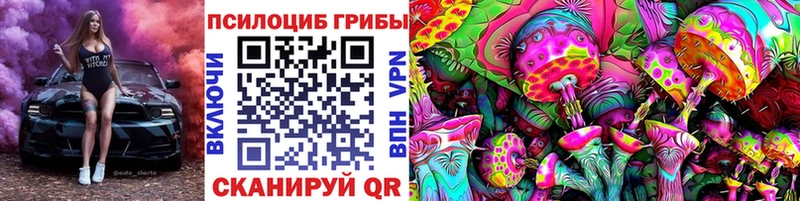 Галлюциногенные грибы Magic Shrooms  магазин продажи   Новочеркасск 